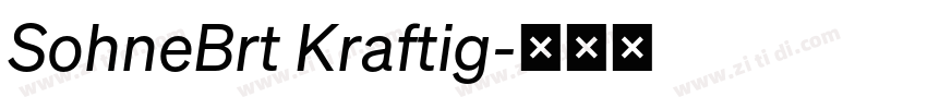 SohneBrt Kraftig字体转换